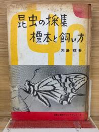昆虫の採集標本と飼い方