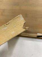 邦人活躍の南洋