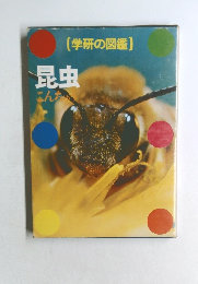 学研の図鑑  昆虫