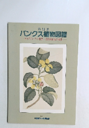 バンクス植物図譜　キャプテン・クック世界一周探検航海の成果