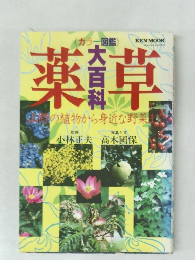 薬草大百科 山野の植物から身近な野菜まで