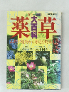 薬草大百科 山野の植物から身近な野菜まで