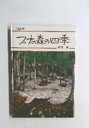 写真絵本　ブナの森の四季