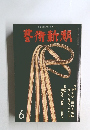 芸術新潮　1980年6月号