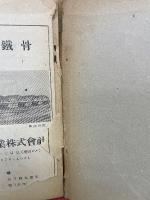 鋼道路橋設計示方書案解說