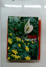 FUJI FILM フィルムガイド 　1989年