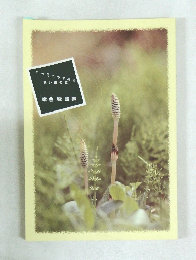 ハーモニカで綴る想い出の歌