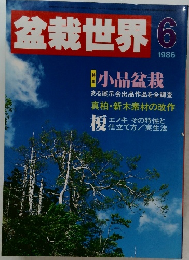 盆栽世界 1986年6月号