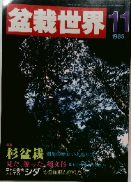 盆栽世界　1985年11月号