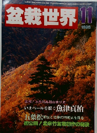 盆栽世界 1986年11月号