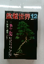 盆栽世界　1983年12月号