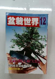 盆栽世界 1986年12月号