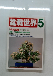 盆栽世界　1987年5月号