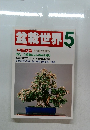 盆栽世界　1987年5月号