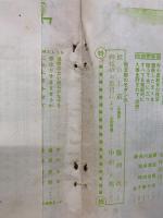 家庭　満一周年記念號