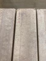 続 国訳漢文大成 高青邱詩集