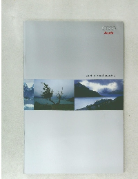 Audi allroad quattro