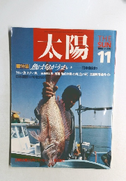 太陽1988年11月号