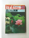 日本カメラ 花のある風景　No.49
