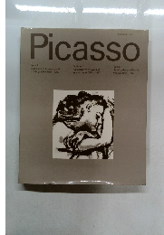 Picasso　