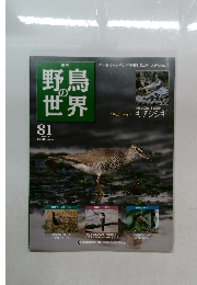 野鳥の世界　No.81　