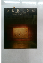 SEKINE  関根伸夫 位相絵画Ⅱ PHASE CONCEPTION II