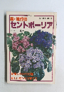 新・流行のセントポーリア