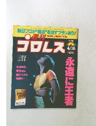 プロレス　1996年