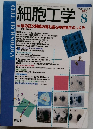 細胞工学 Vol.16 No.8 1997年8月号
