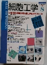 細胞工学 Vol.16 No.8 1997年8月号