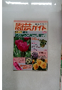園芸ガイド　1989　春