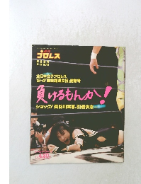 プロレス　No.７０８　平成7年12月22日