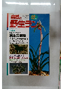 自然と野生ラント　12月号　期待たかまる実生富貴蘭