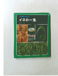 科学のアルバム　イネの一生