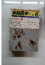 実験医学 6Vol. 7-No. 8 1989