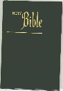 HOLY Bible