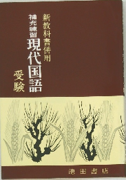 補充練習現代国語　受験