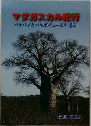 マダガスカル犯行  バオバブとパキポデュームを見る