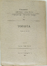 Geomorphology, Subsurface Geology & Soil  TOYOTA