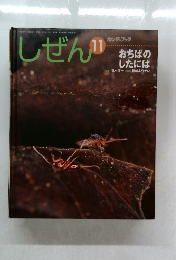 しぜん　11　おちばのしたのは