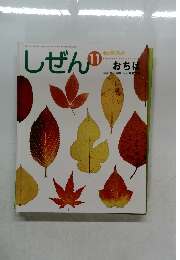 しぜん　11　おちば