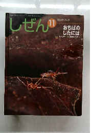 しぜん　11　　おちばのしたには