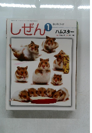 しぜん　1　キンダーブック