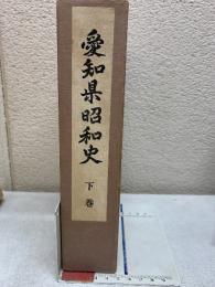 愛知県昭和史 下巻