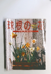 球根の花　秋には植え方、春には飾り方を覚える