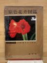 原色花卉図鑑 上 (宿根・球根編) 
