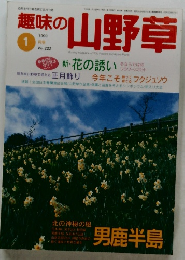 趣味の山野草　1999年1月号
