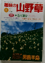 趣味の山野草　1999年1月号