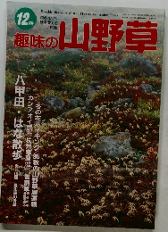 趣味の山野草 1996年12月号