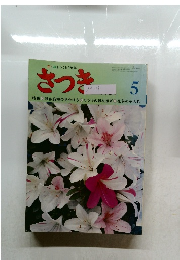 さつき　5
